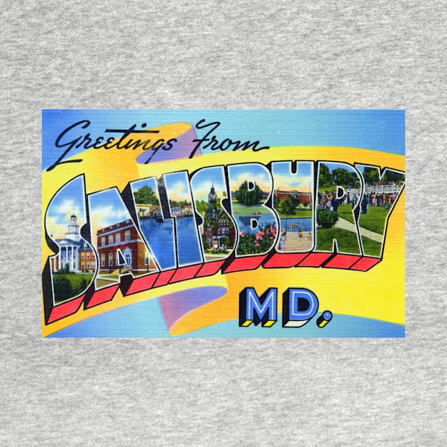 Greetings from Salisbury, Maryland - Vintage Large Letter Postcard by Naves